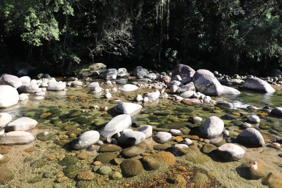 Sol Nascente 19